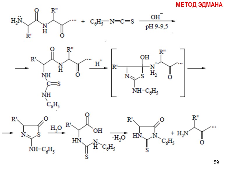 59 МЕТОД ЭДМАНА